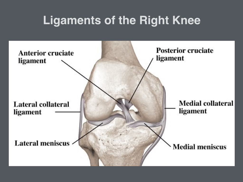 HOW IS A PCL INJURY DIFFERENT FROM AN ACL INJURY? Get Back To Sport