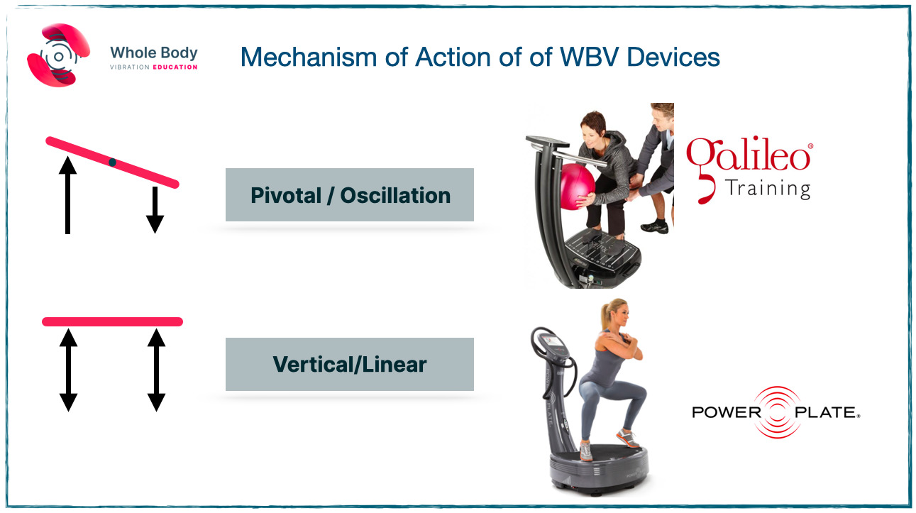 Whole Body Vibration - Get Back To Sport