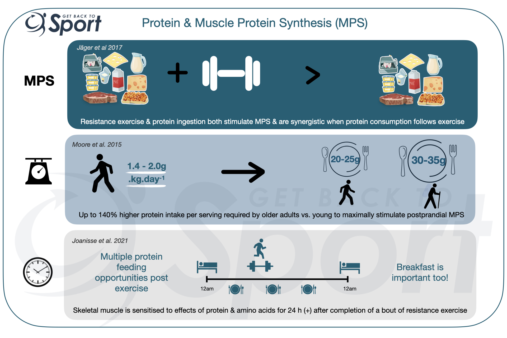 Protein for Gain; How Much, When & How Often? - Get Back To Sport